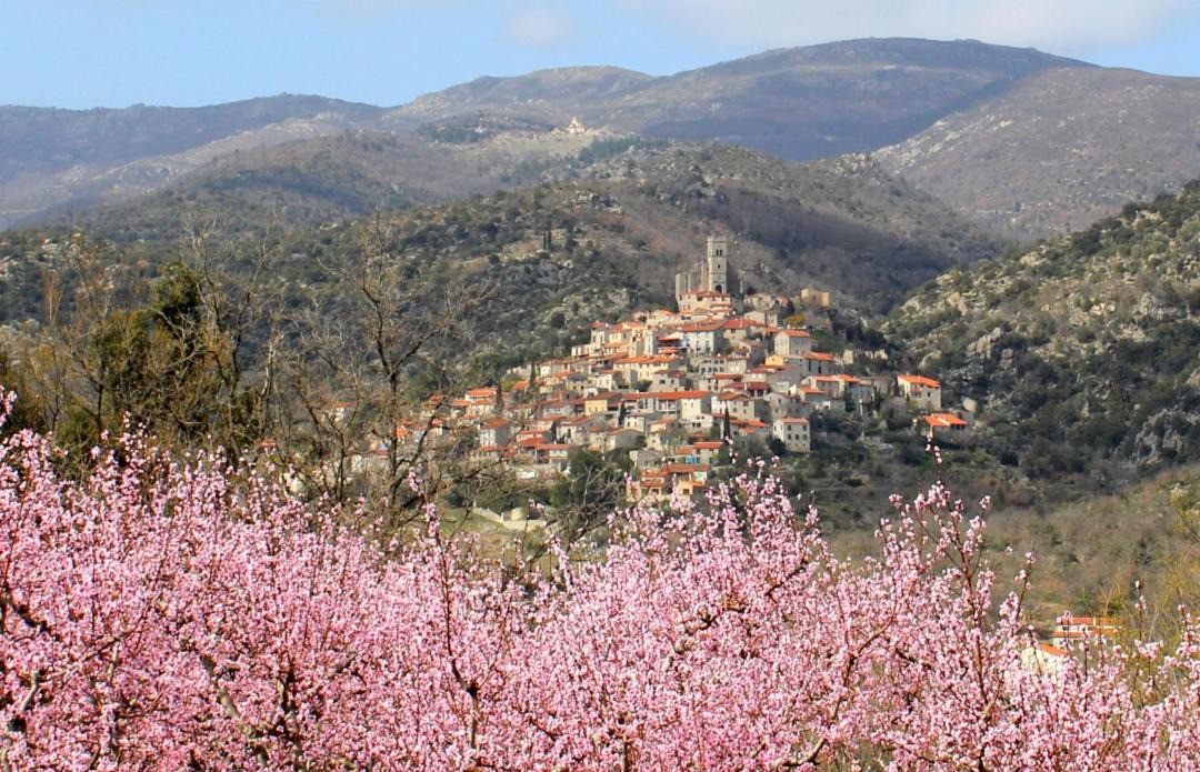 Photo of Others in Eus