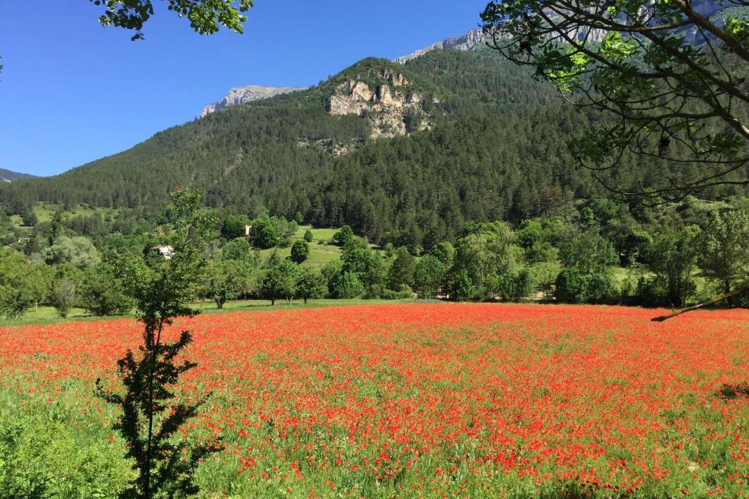 Photo of Outdoor in Chatillon-en-Diois
