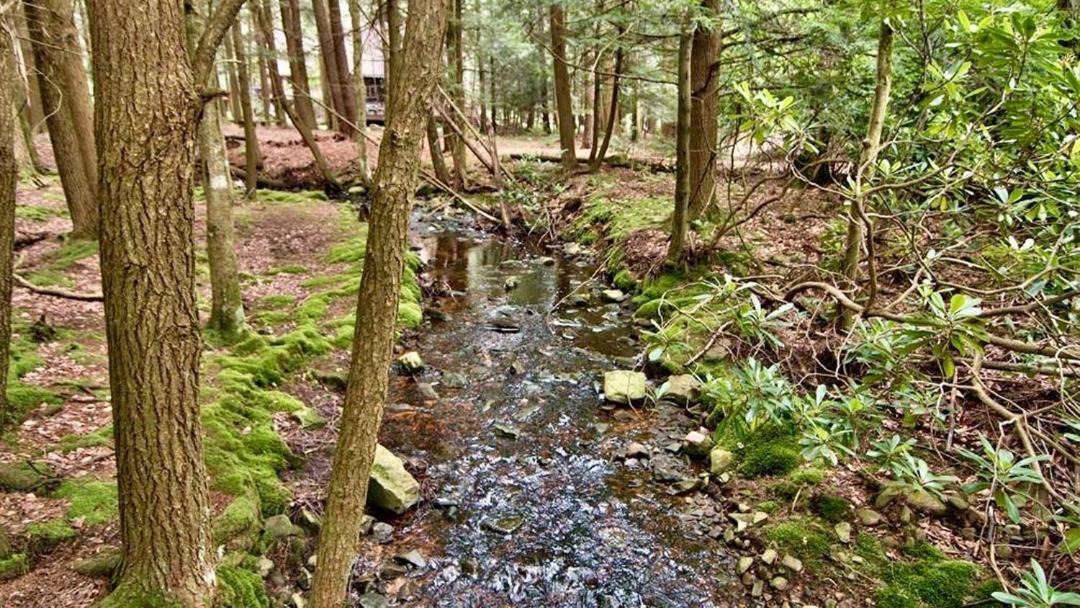 Photo of Others in Pocono Pines