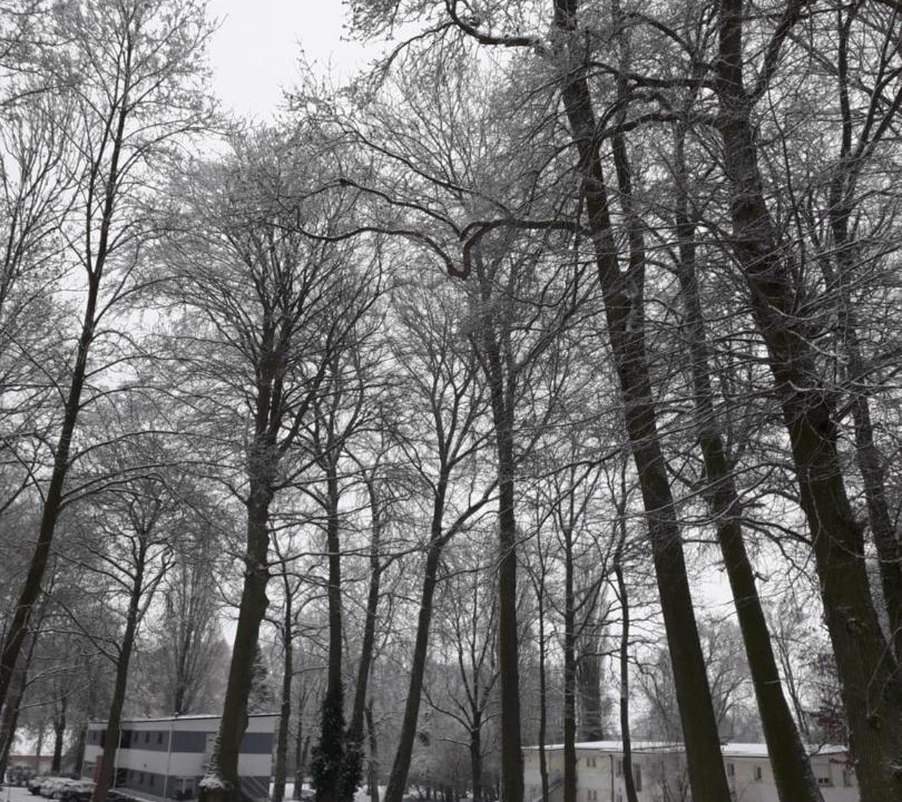 Photo of Buildings in Oxelaere