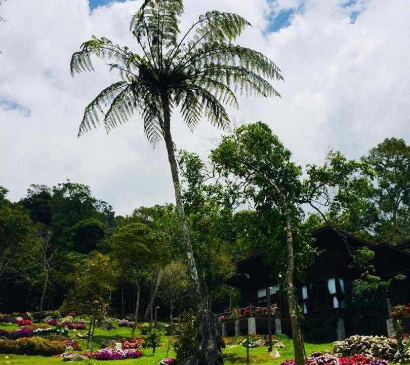 Photo of Others in Kundasang