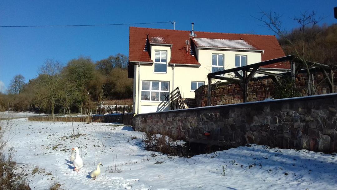 Photo of Others in Wissembourg