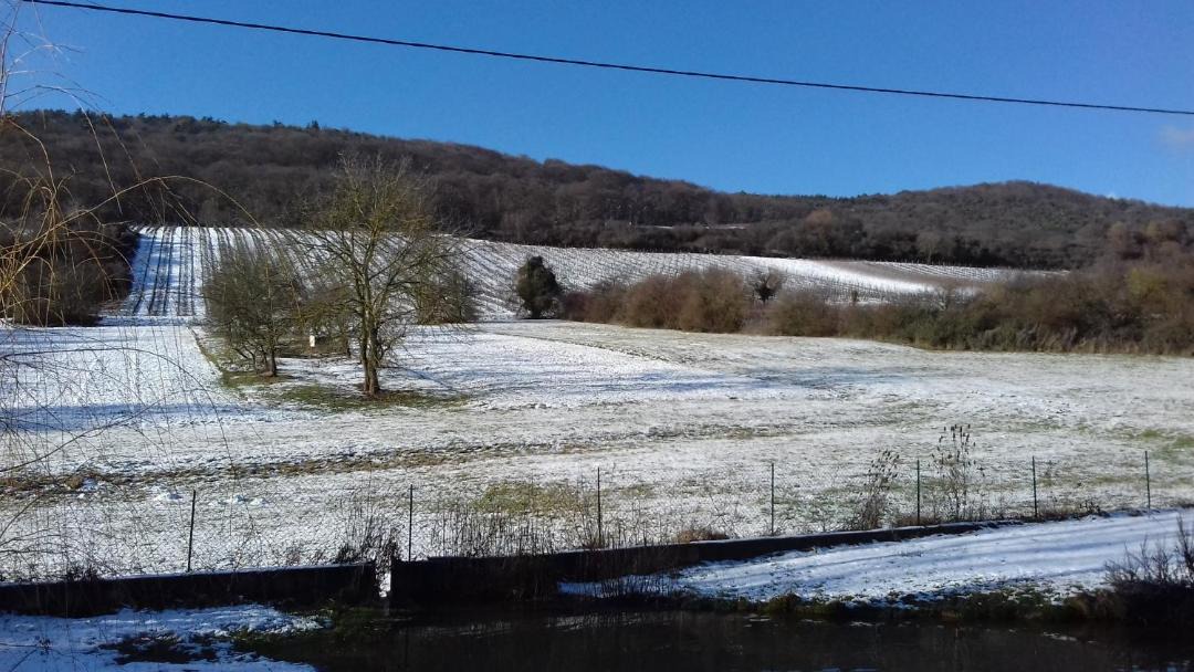 Photo of Others in Wissembourg