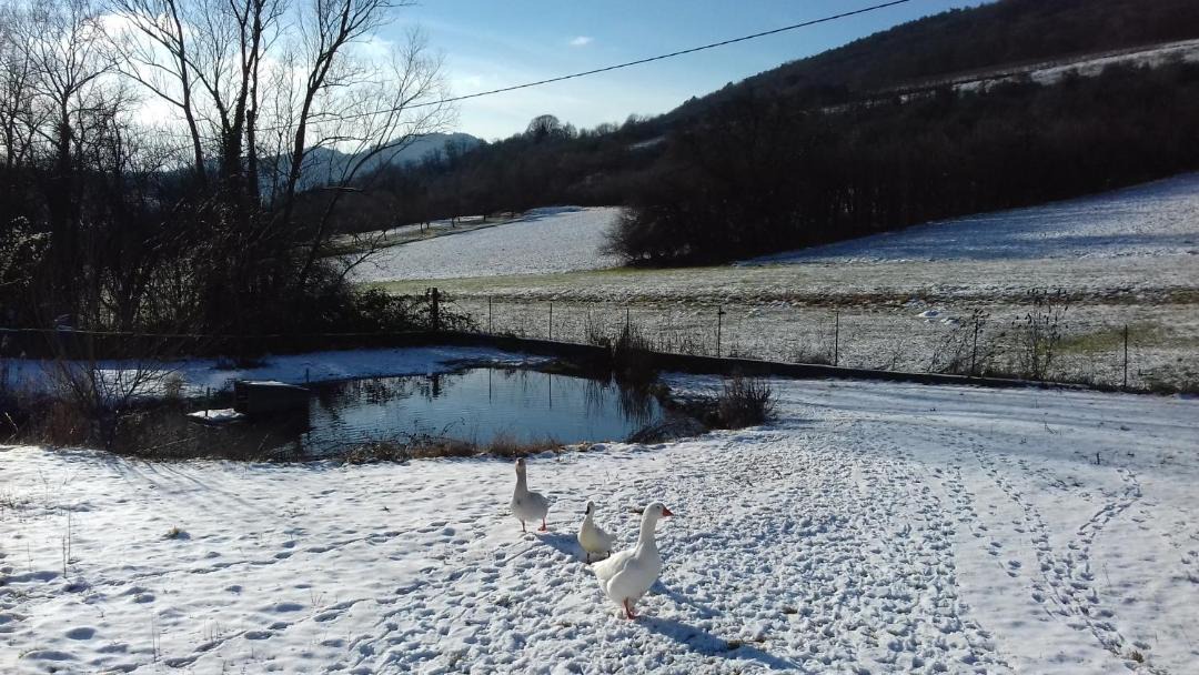 Photo of Others in Wissembourg