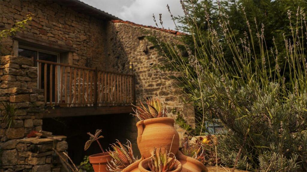 Photo of Others in Saint-Amour