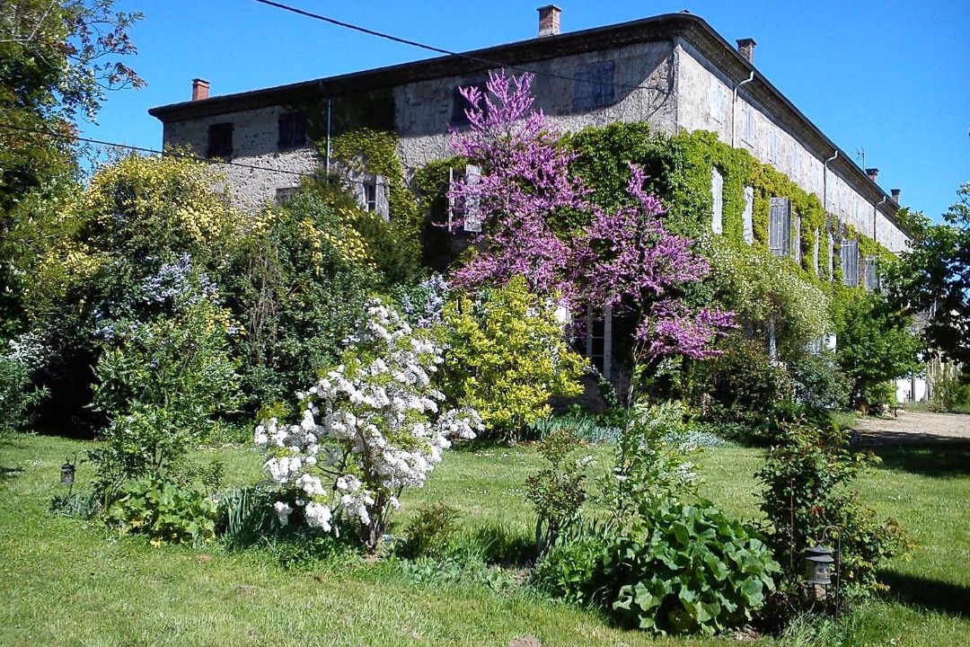 Photo of Others in Quintenas