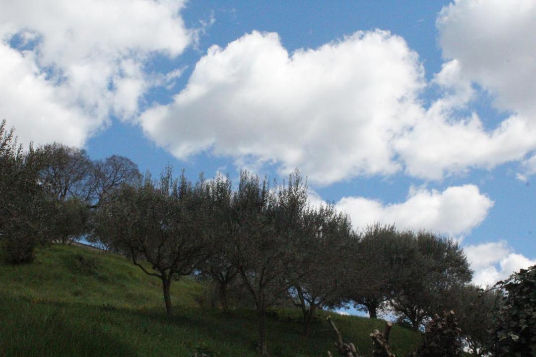 Photo of Outdoor in Motovun