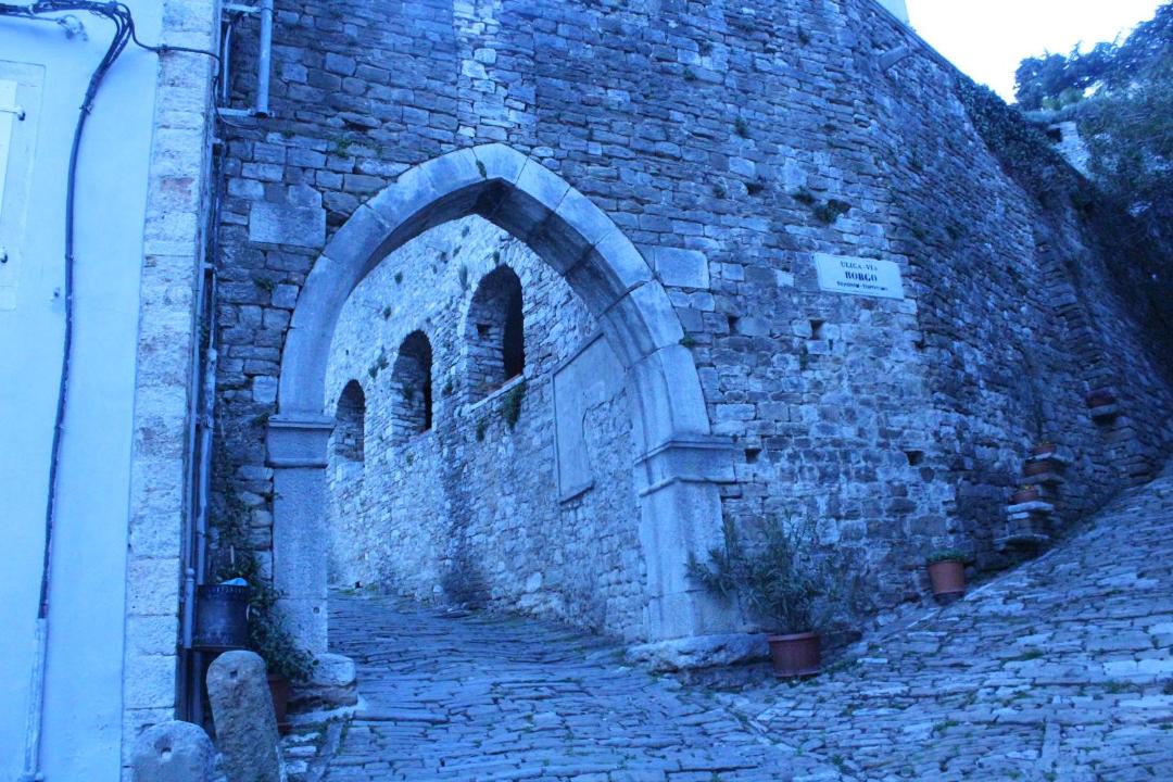 Photo of Buildings in Motovun