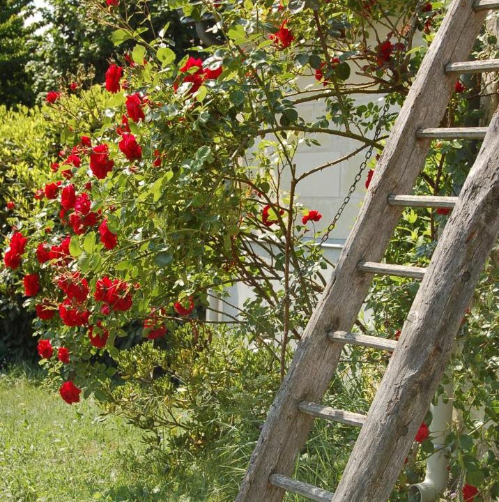 Photo of Others in Savonnieres