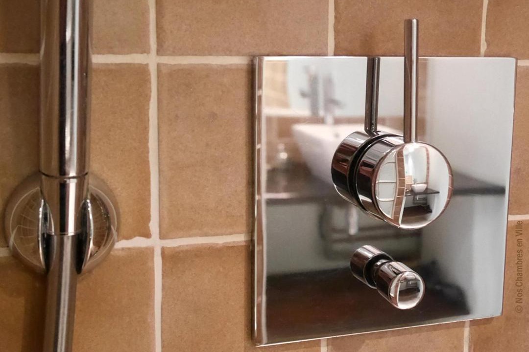 Photo of Bathroom in Griffon - Royale