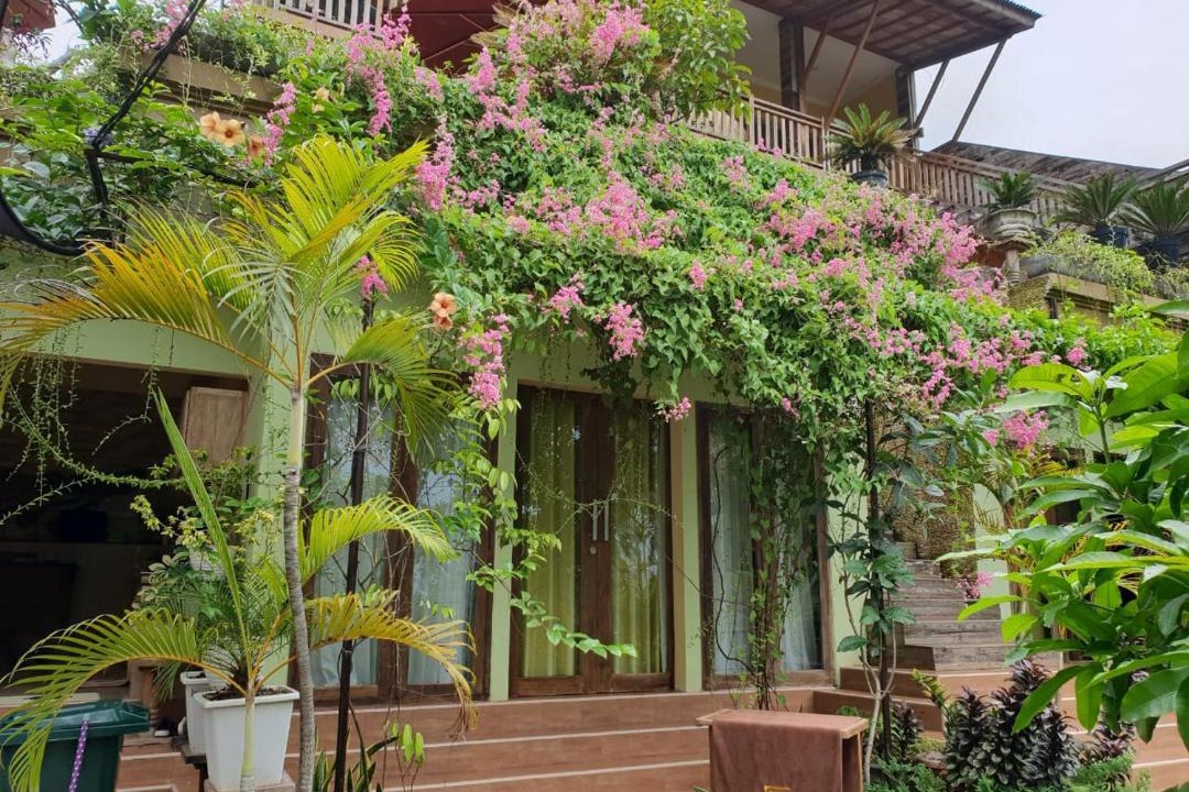 Photo of Others in Medewi