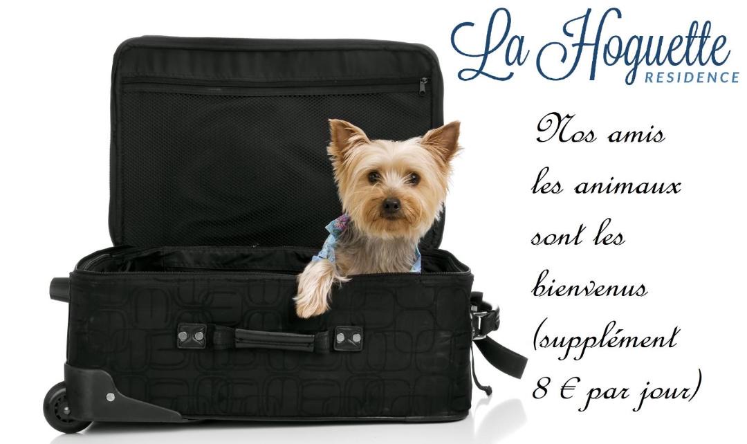 Photo of Others in Courtoisville-Sillon-Moka