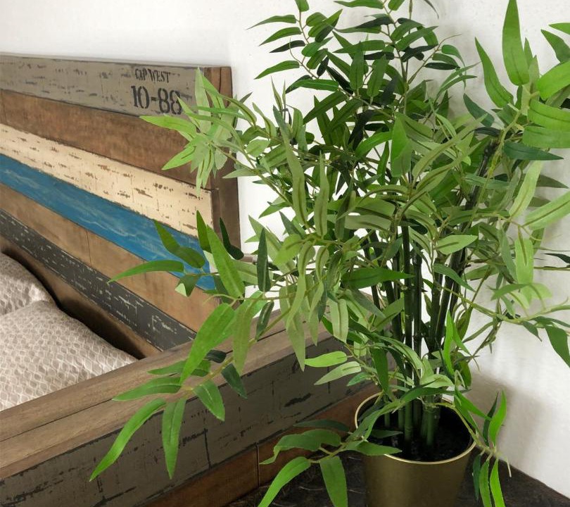 Photo of Others in Honfleur