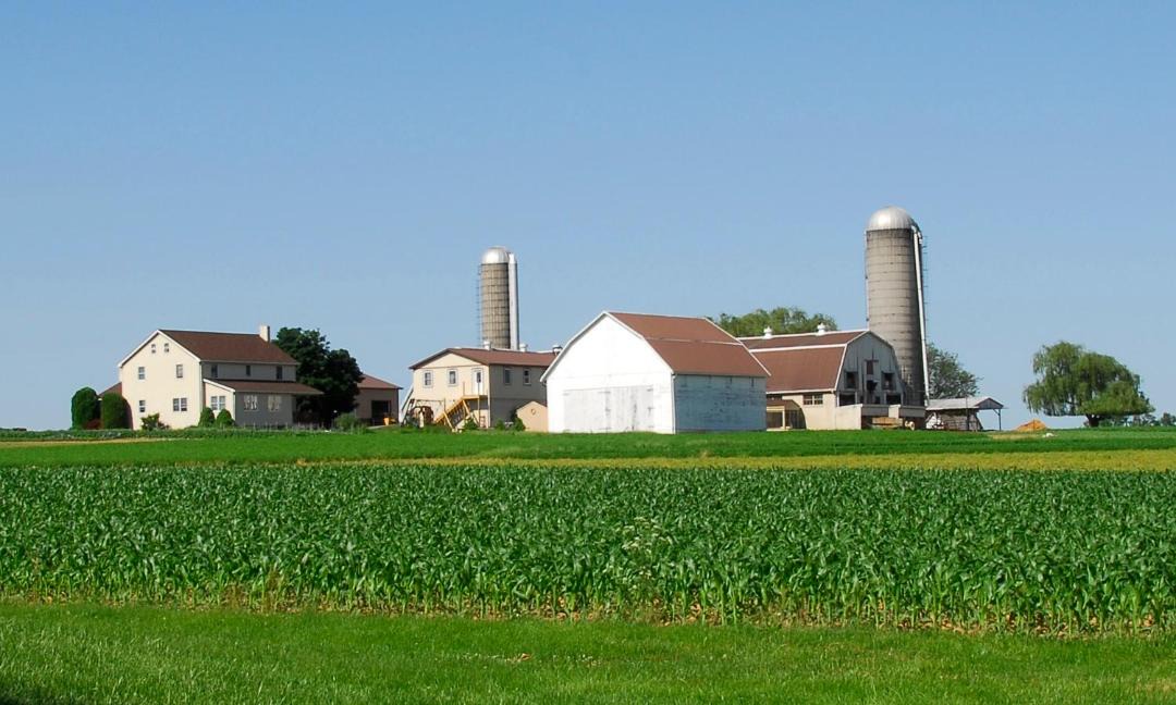 Photo of Buildings in Witmer