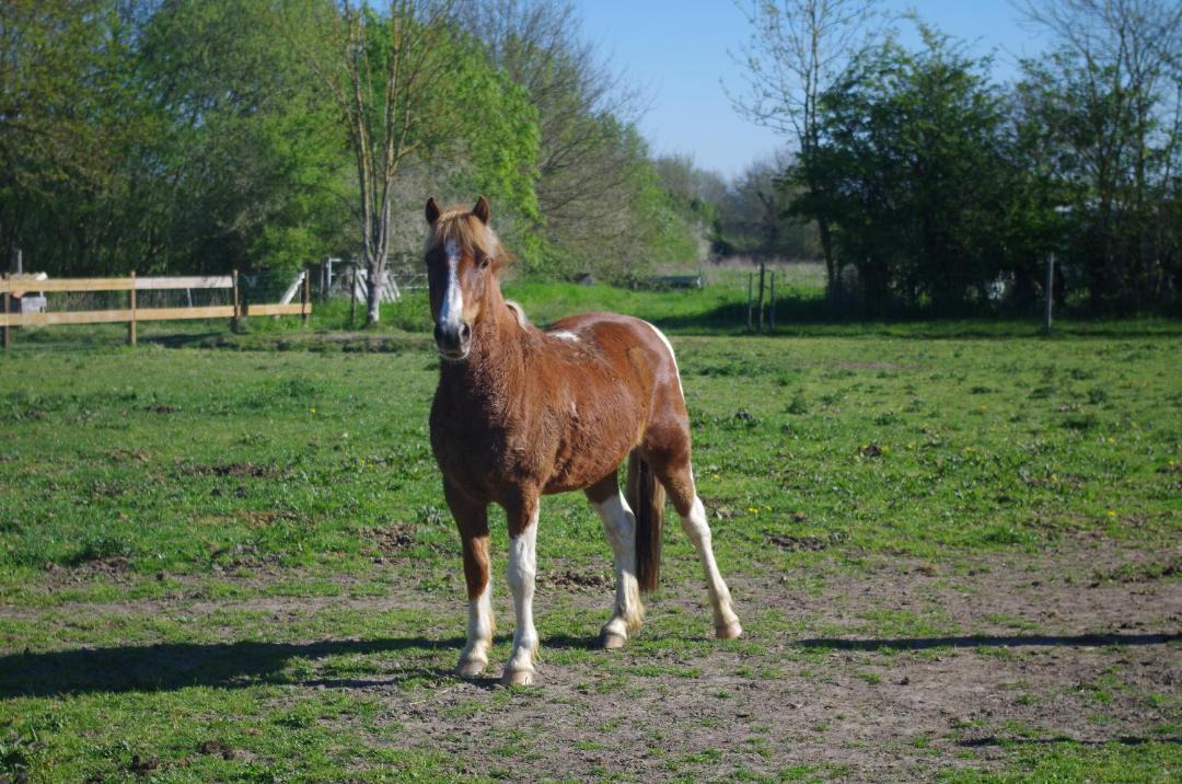 Photo of Human In Picture in Bressuire