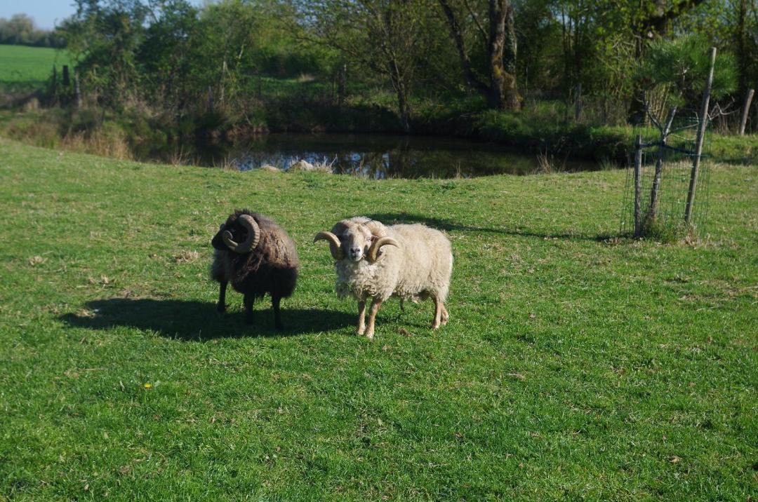 Photo of Others in Bressuire