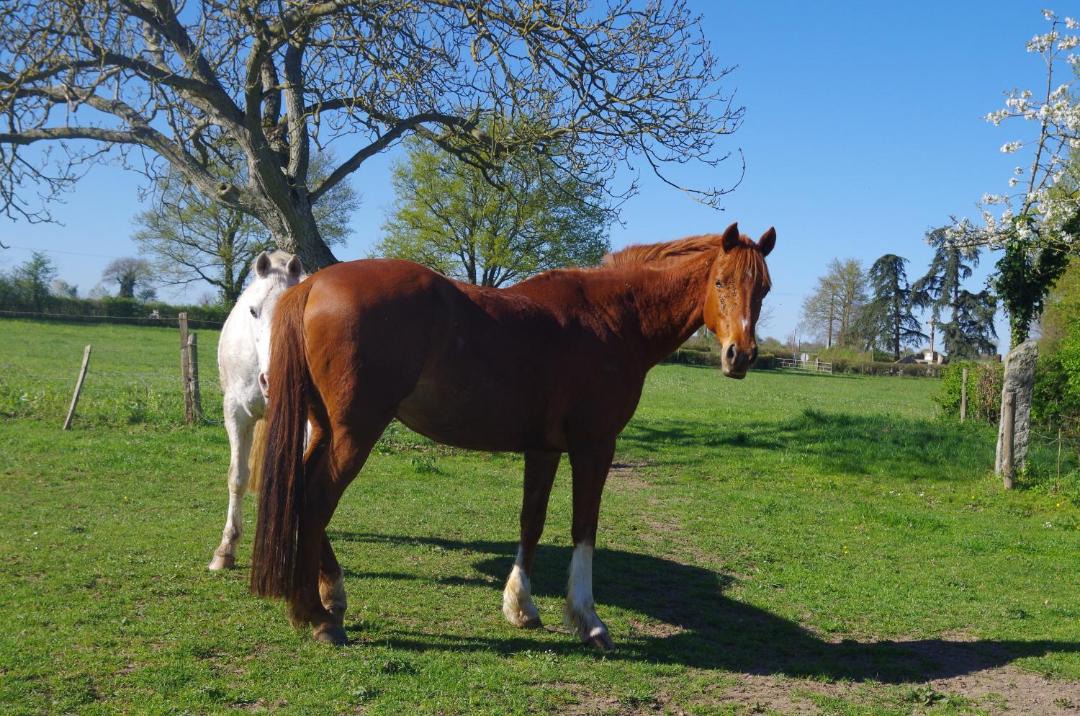 Photo of Others in Bressuire