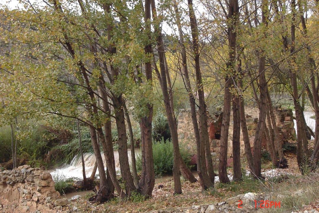 Photo of Others in Gea de Albarracin