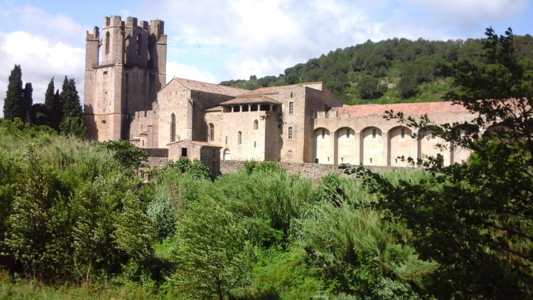 Photo of Others in Lagrasse