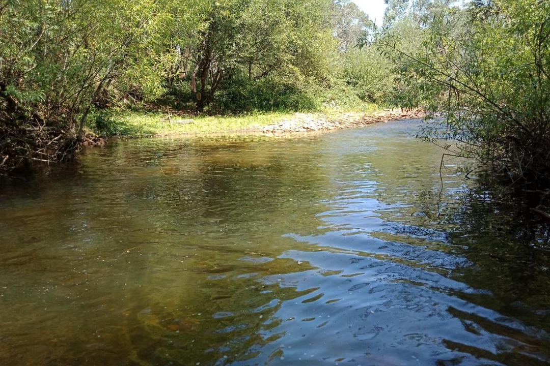 Photo of Others in Freeburgh