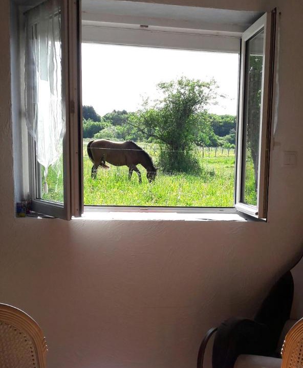 Photo of Others in Cellettes