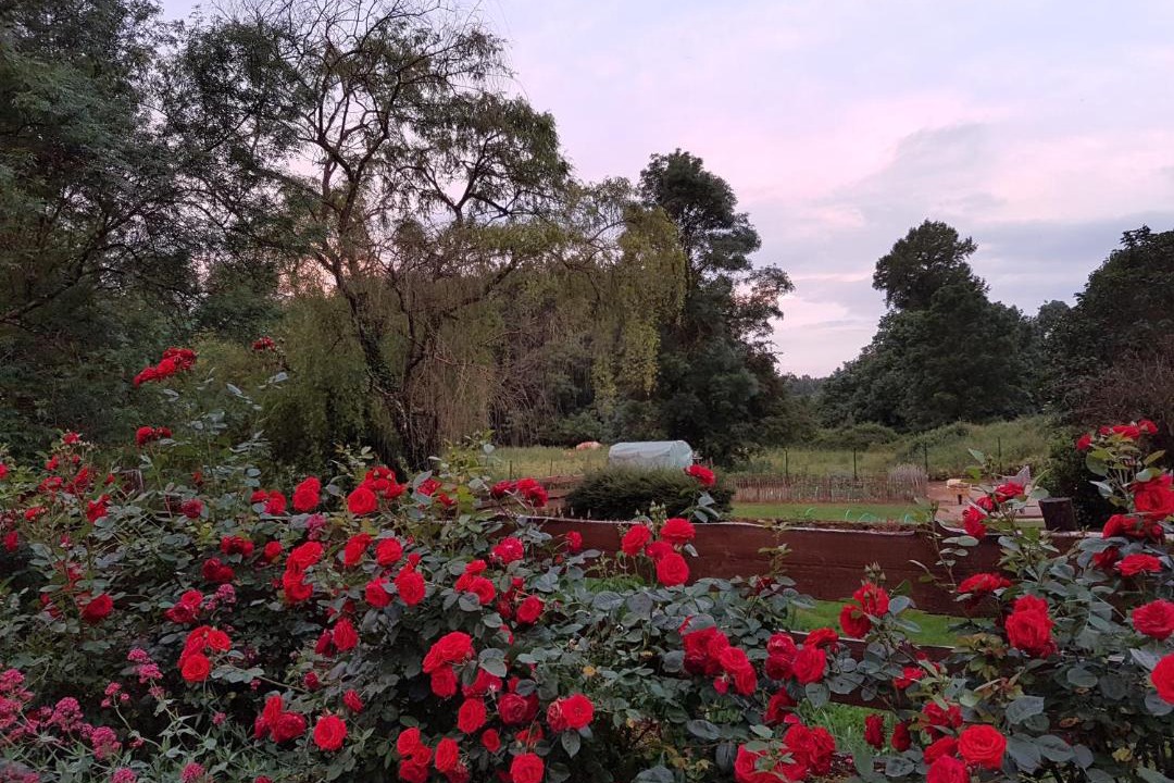 Photo of Others in Vivonne