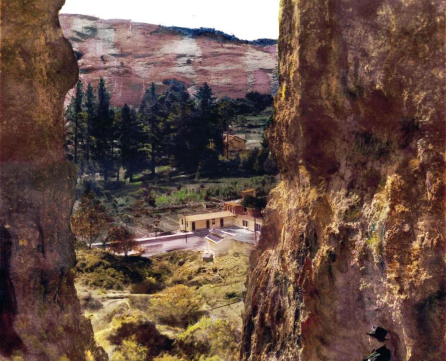 Photo of Others in Te Puia