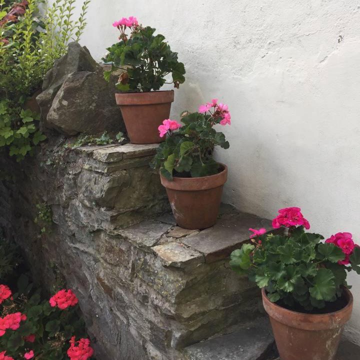 Photo of Others in Pontcanna