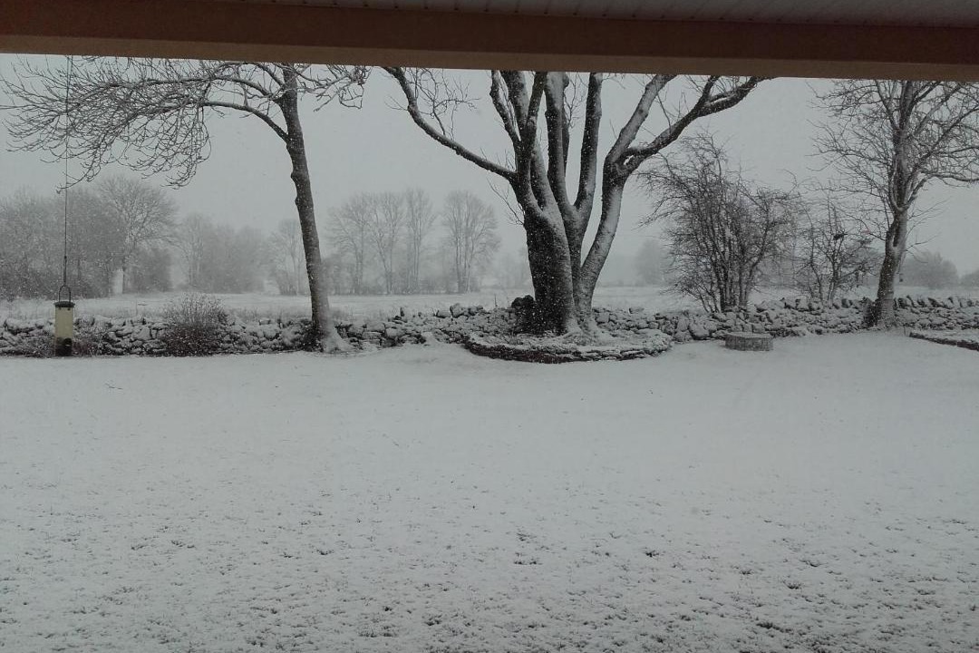 Photo of Others in Le Caylar