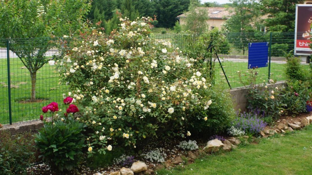 Photo of Others in Le Caylar