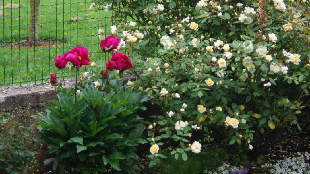 Photo of Others in Le Caylar