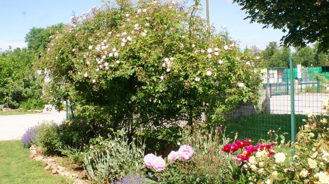 Photo of Others in Le Caylar