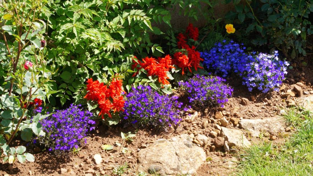 Photo of Others in Le Caylar