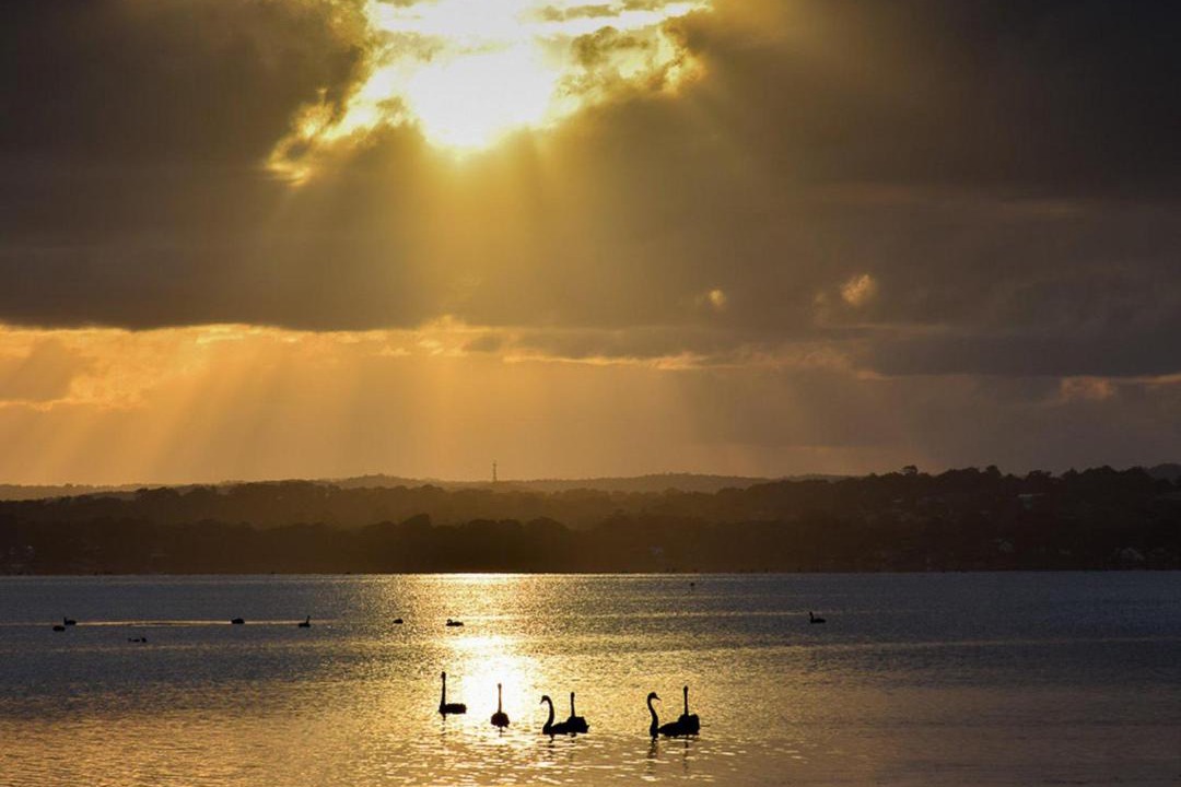 Photo of Outdoor in Budgewoi