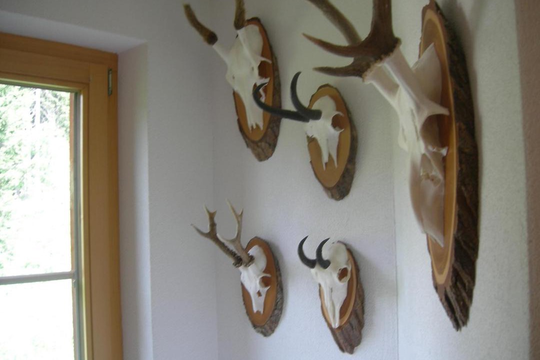 Photo of Others in Arosa
