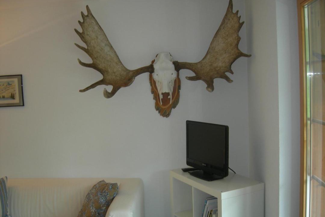 Photo of Others in Arosa