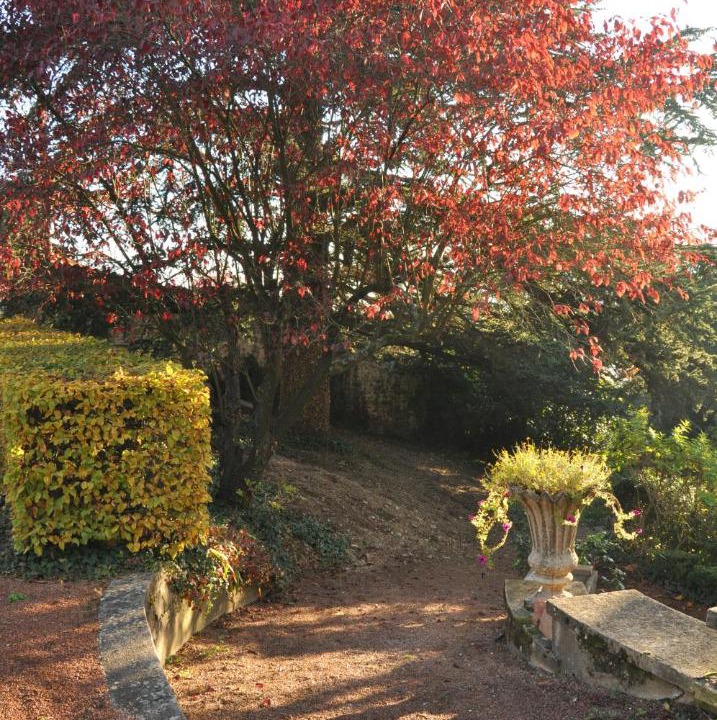 Photo of Others in Tarare