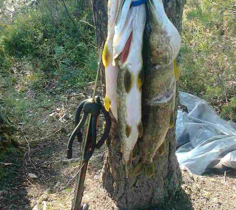 Photo of Others in Petrovsky