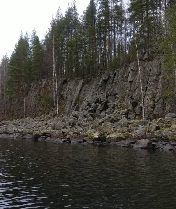 Photo of Outdoor in Petrovsky