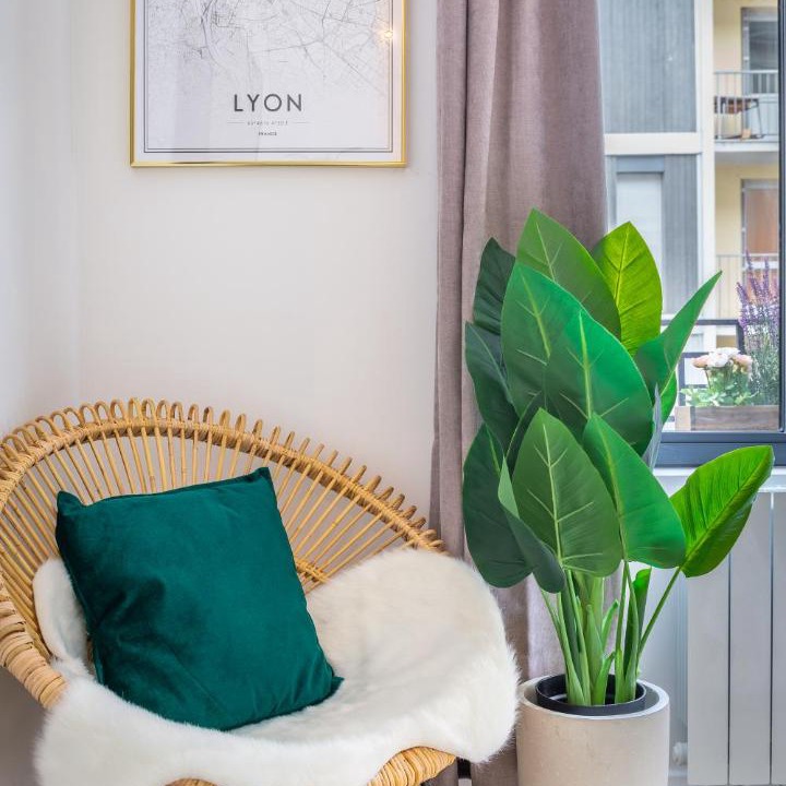 Photo of Others in La Guillotiere