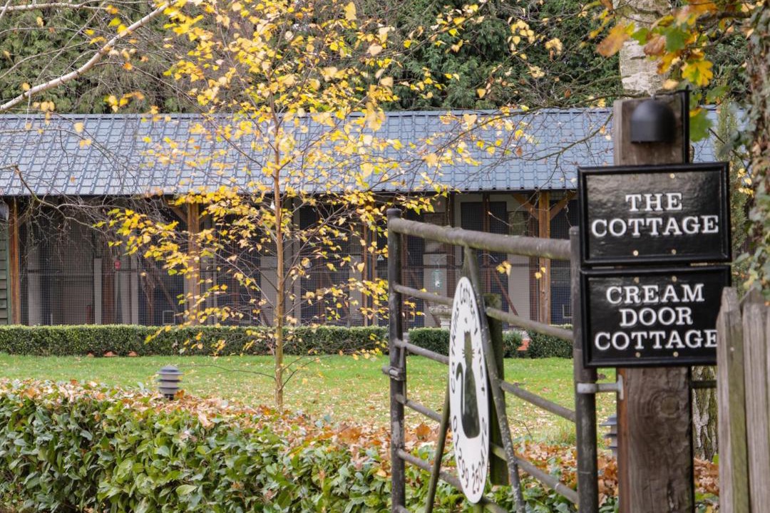 Photo of Others in Shobdon