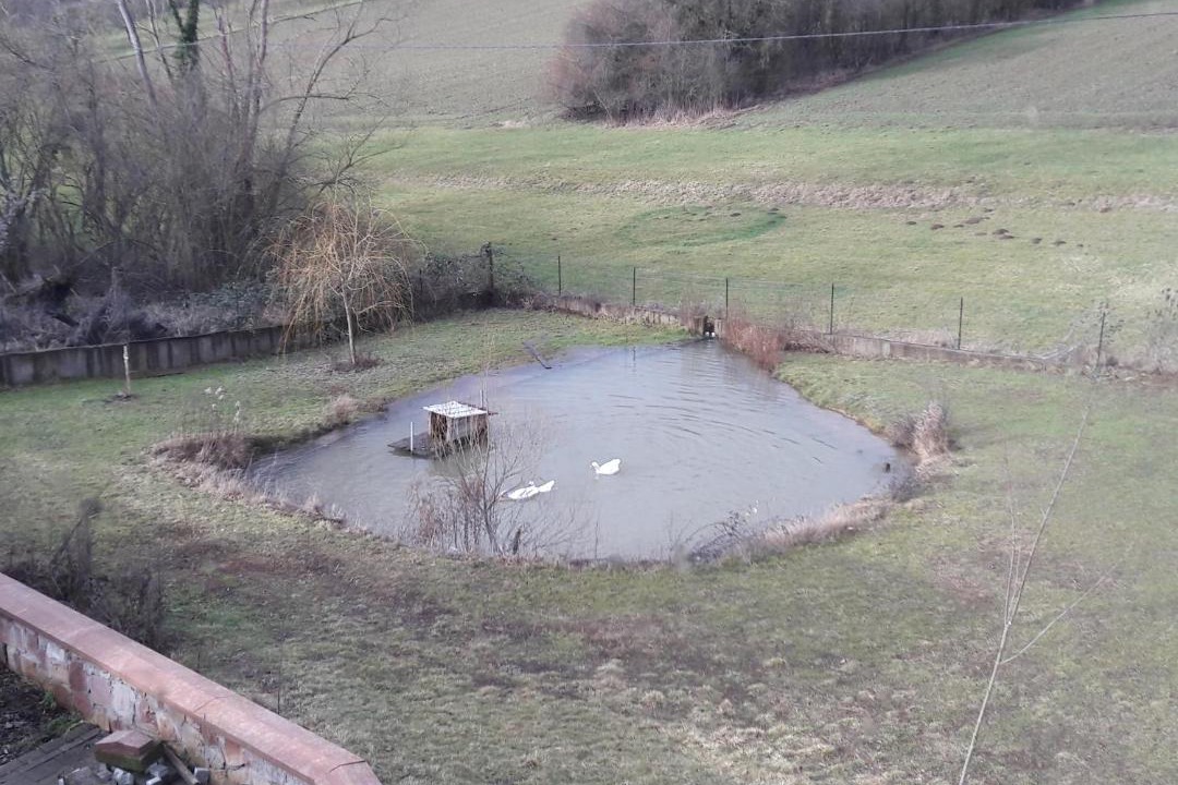 Photo of Others in Wissembourg