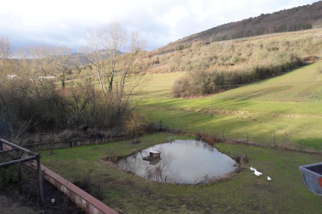 Photo of Others in Wissembourg