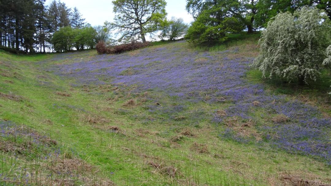 Photo of Others in Bishops Castle