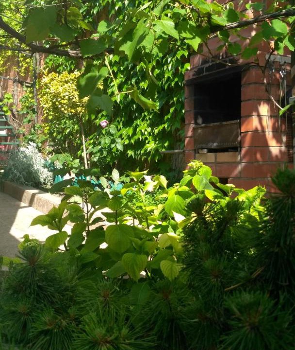 Photo of Others in Gelendzhik