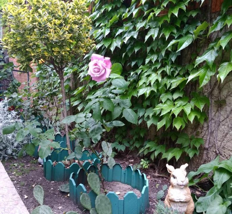 Photo of Others in Gelendzhik