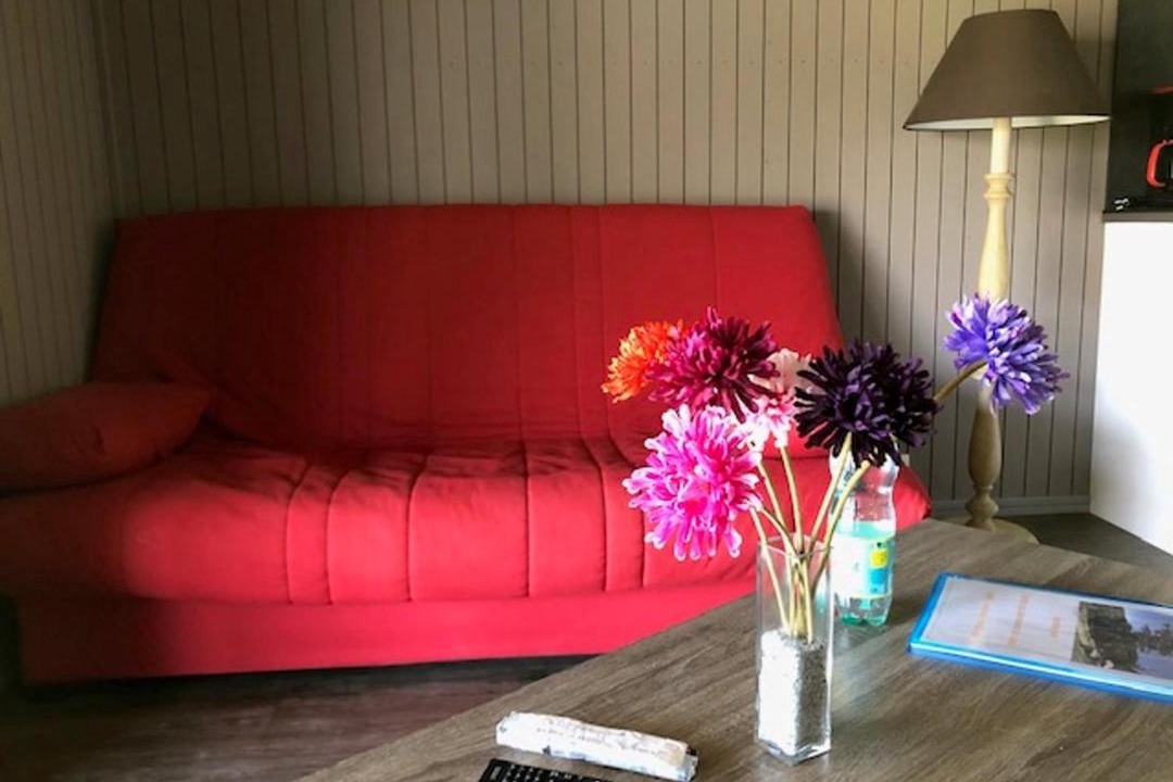 Photo of Livingroom in La Salvetat-sur-Agout