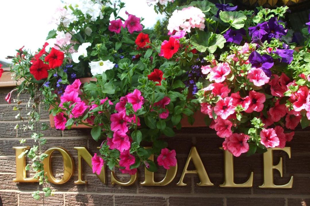 Photo of Others in North Shore