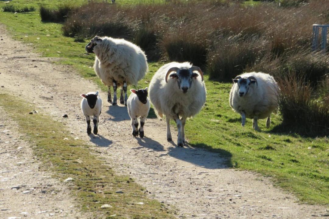 Photo of Others in Woodend