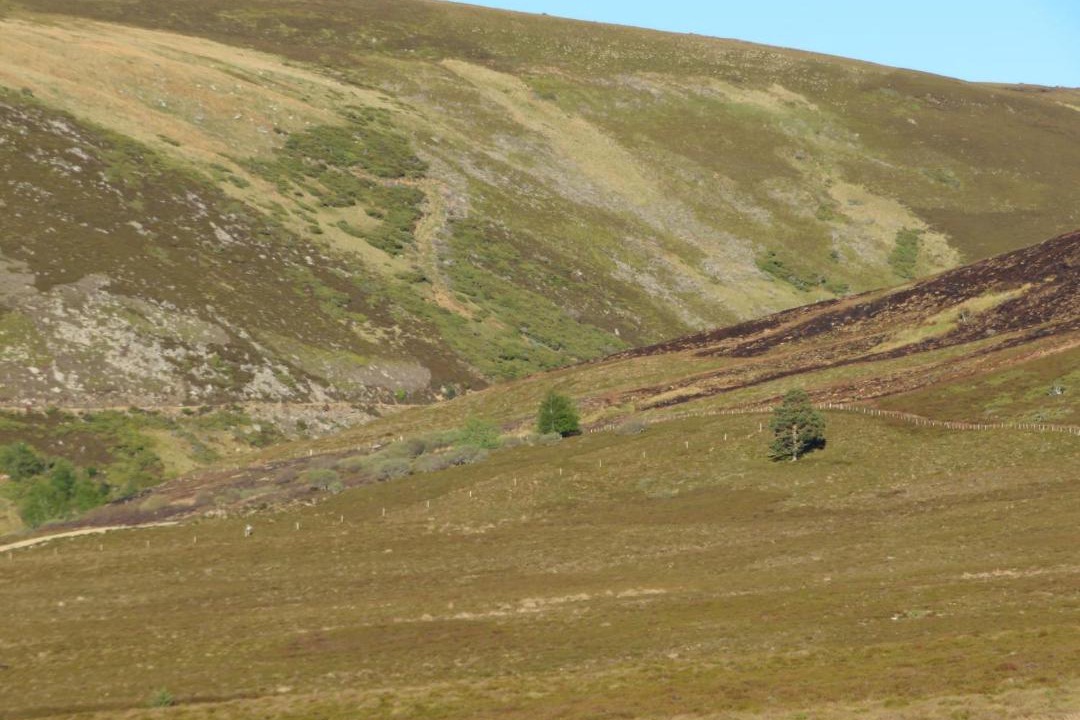 Photo of Others in Woodend